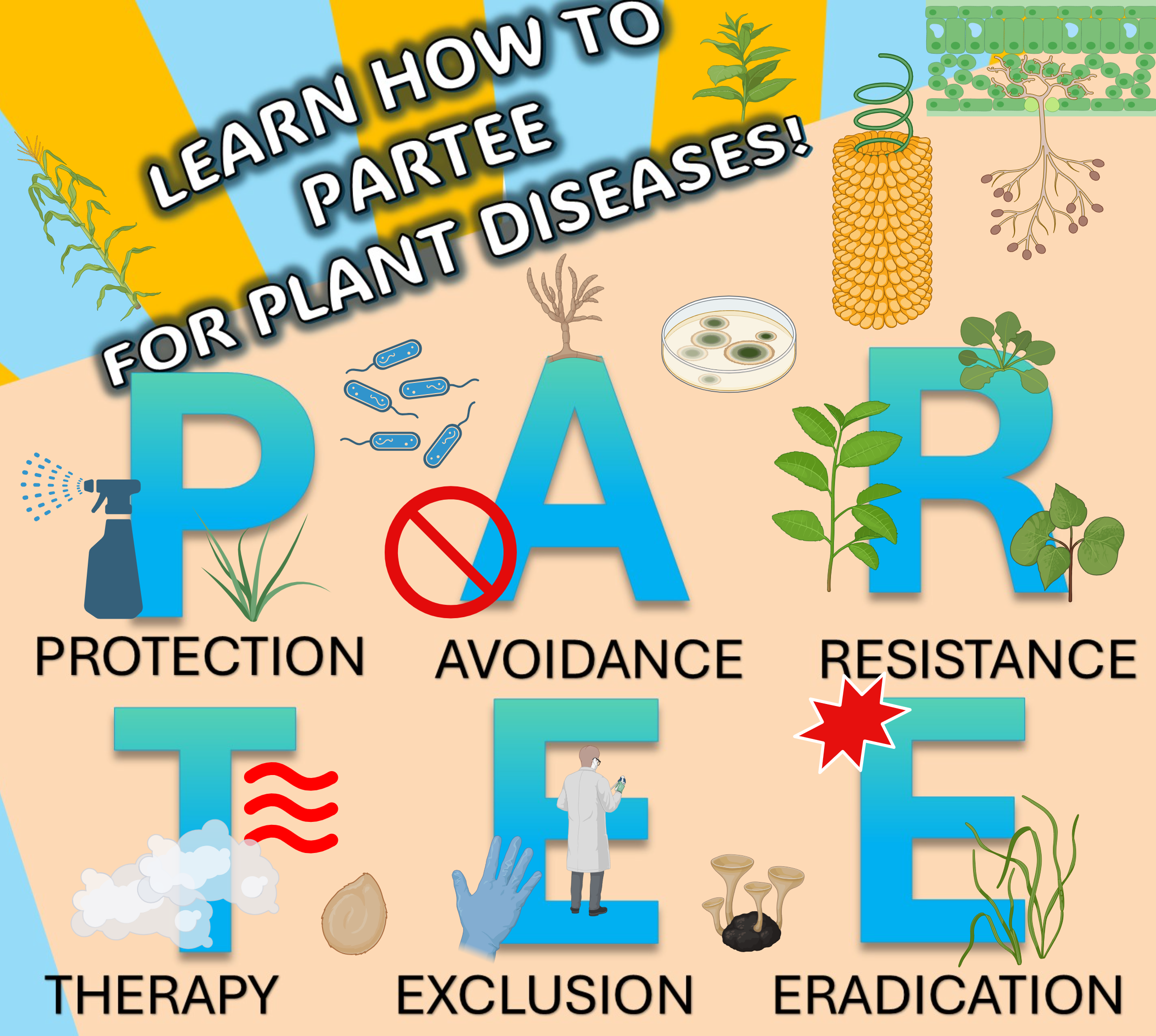 Picture showing PARTEE as different modes of disease management